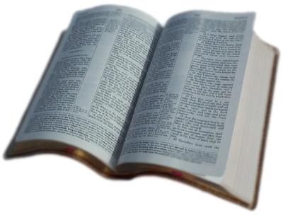 The Holy Bible - Bible Png (400x304), Png Download