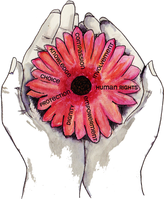 Integritas Support Provides An Independent Social Work - Oriental Poppy (600x732), Png Download
