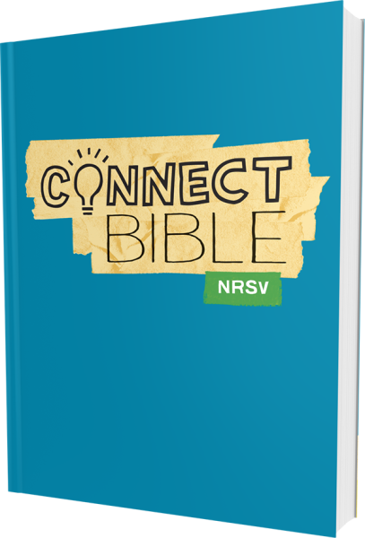 Connect Bible Nrsv Paperback - Connect Bible (nrsv). [book] (407x600), Png Download