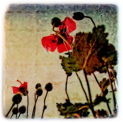 Rustic And Contemporary At The Same Time The Unique - Poppy (400x400), Png Download