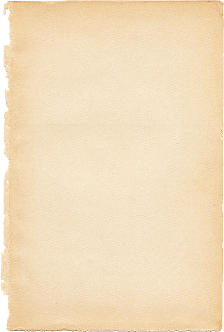 Leather Goods, Bedding, Artisan Jewelry, Gifts And - Karl Blossfeldt (594x684), Png Download