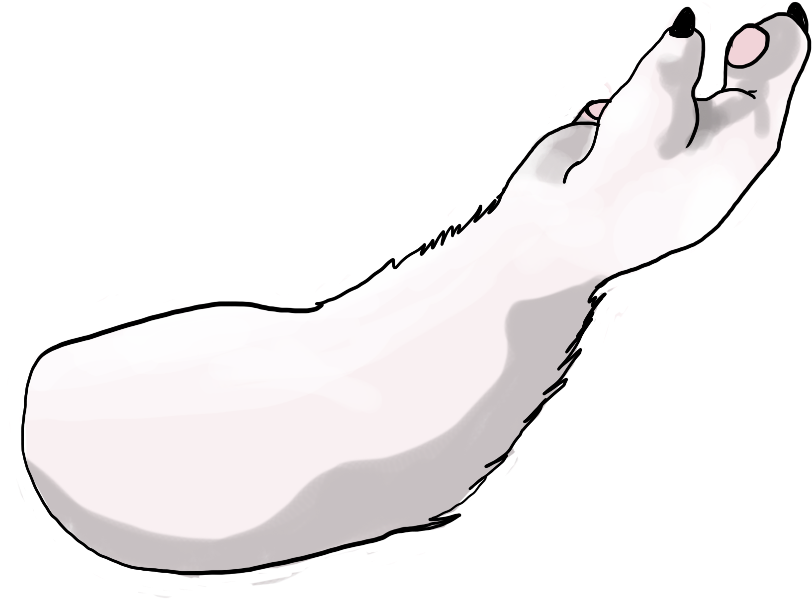 Image Image (4000x2248), Png Download