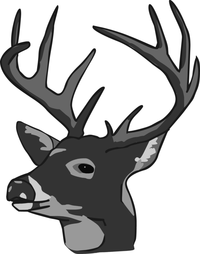 Deer Head Clipart - Deer Head (793x1007), Png Download