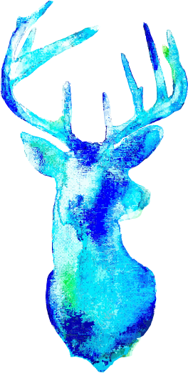 Watercolor Deer Head - Reindeer (264x522), Png Download