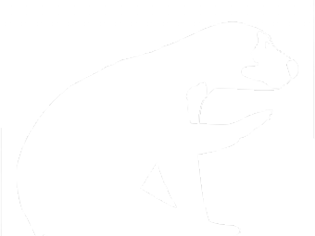 Bear (640x480), Png Download