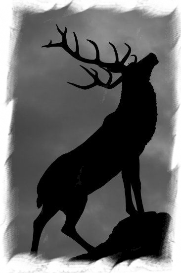 A Fire Licks The Air Within The Cave That Appears - Roaring Stag Silhouette (366x550), Png Download