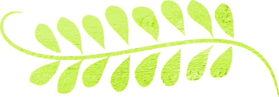 Leaf, Swirl, Vector, Green, Decoration, Border, Curly - Curly Line Svg (960x335), Png Download