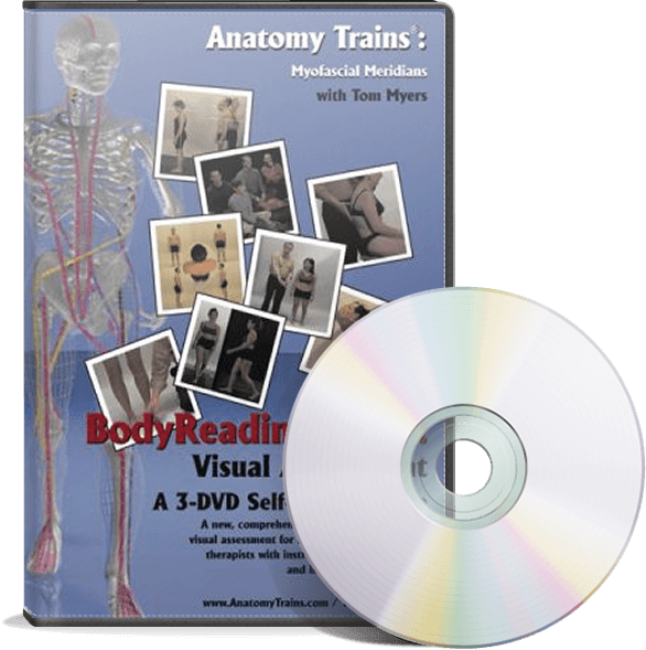 Bodyreading - Dvd (586x589), Png Download