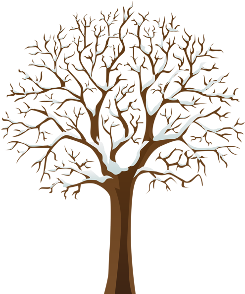Snowy Winter Tree Transparent Png Image - Transparent Background Tree Logo Png (503x600), Png Download