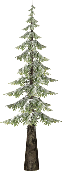Snowy Black Spruce - Christmas Tree (550x550), Png Download