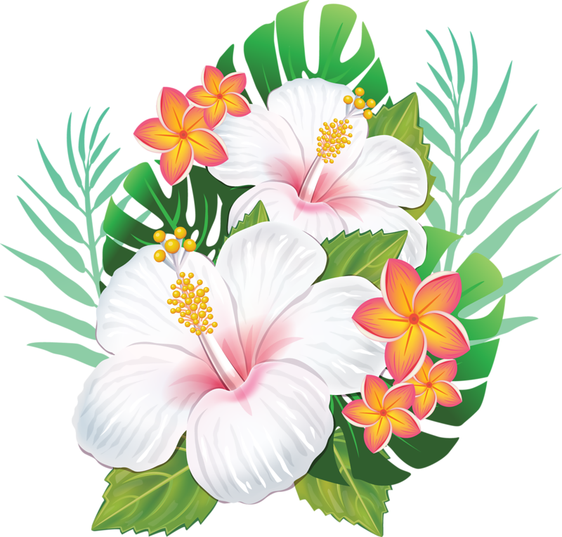 Clipart Stock Cc Cf F A L Png - Topo De Bolo Flamingo Para Imprimir (500x477), Png Download
