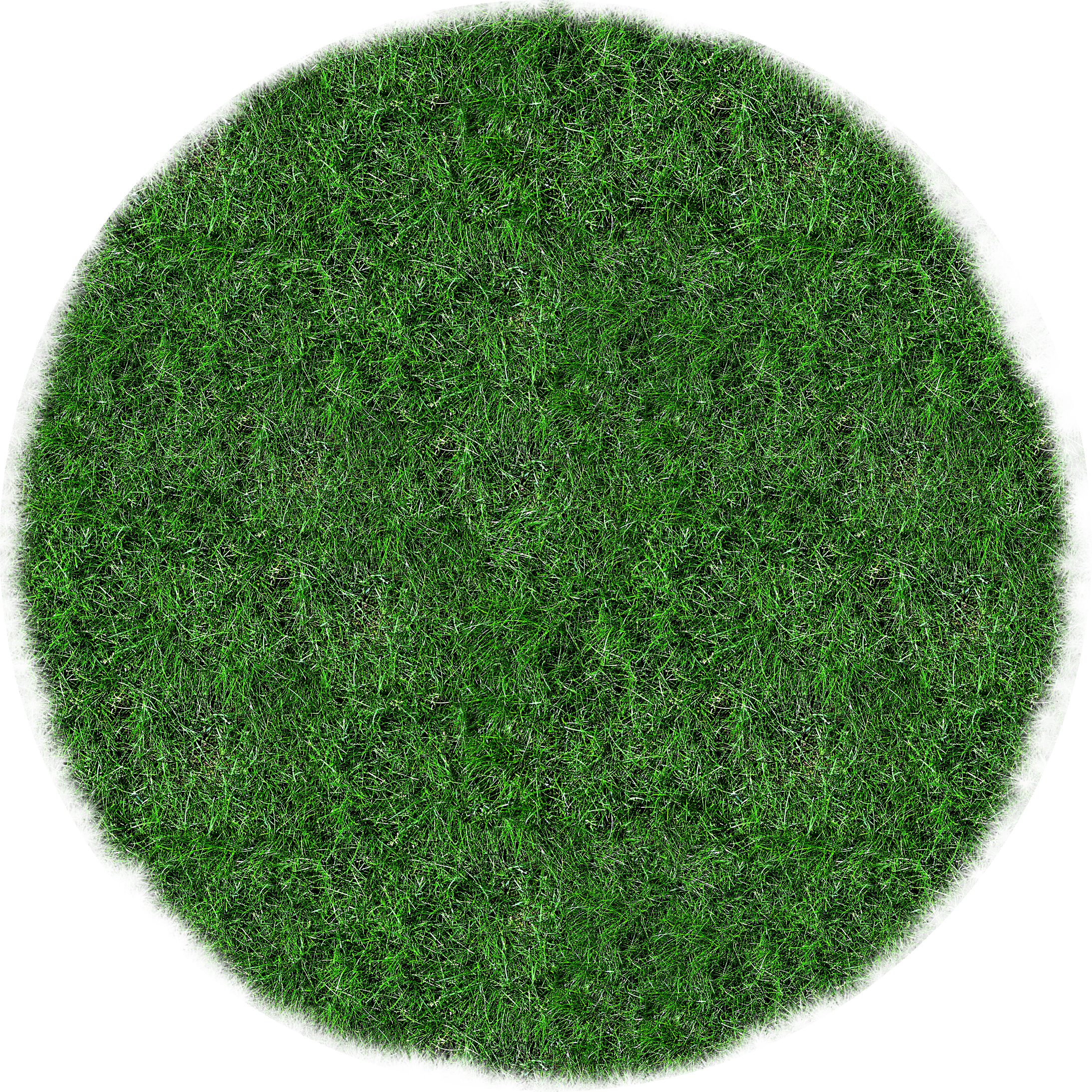 Circle Of Green Grass Free Image Image Black And White - オカトー カラーモードプレミアム チェアパット丸型35cm (2186x2186), Png Download
