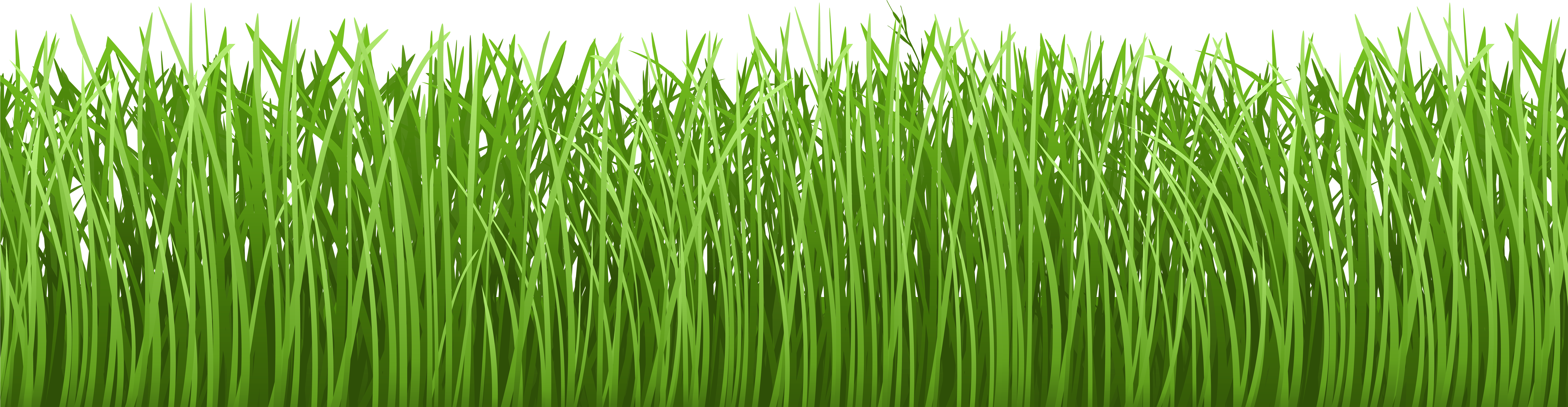 Grass Vector Png Download - Herbe Bas De Page (8000x2306), Png Download