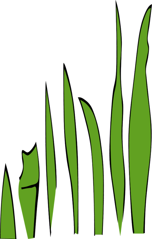 Grass Blades And Clumps - Grass Clip Art (600x944), Png Download