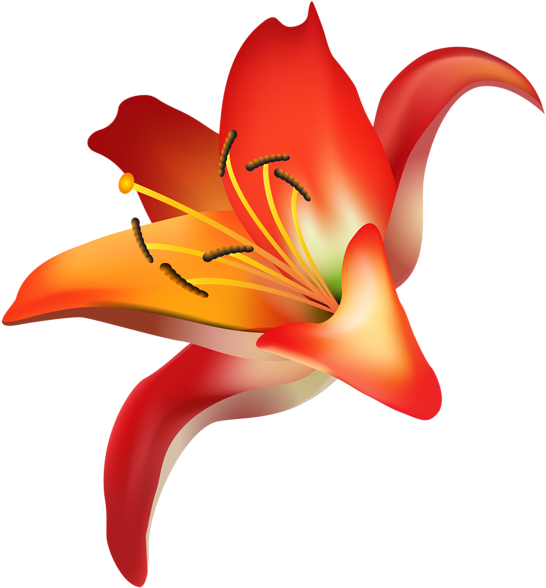 Red Flower Png Clip Art Transparent Image - Portable Network Graphics (555x600), Png Download
