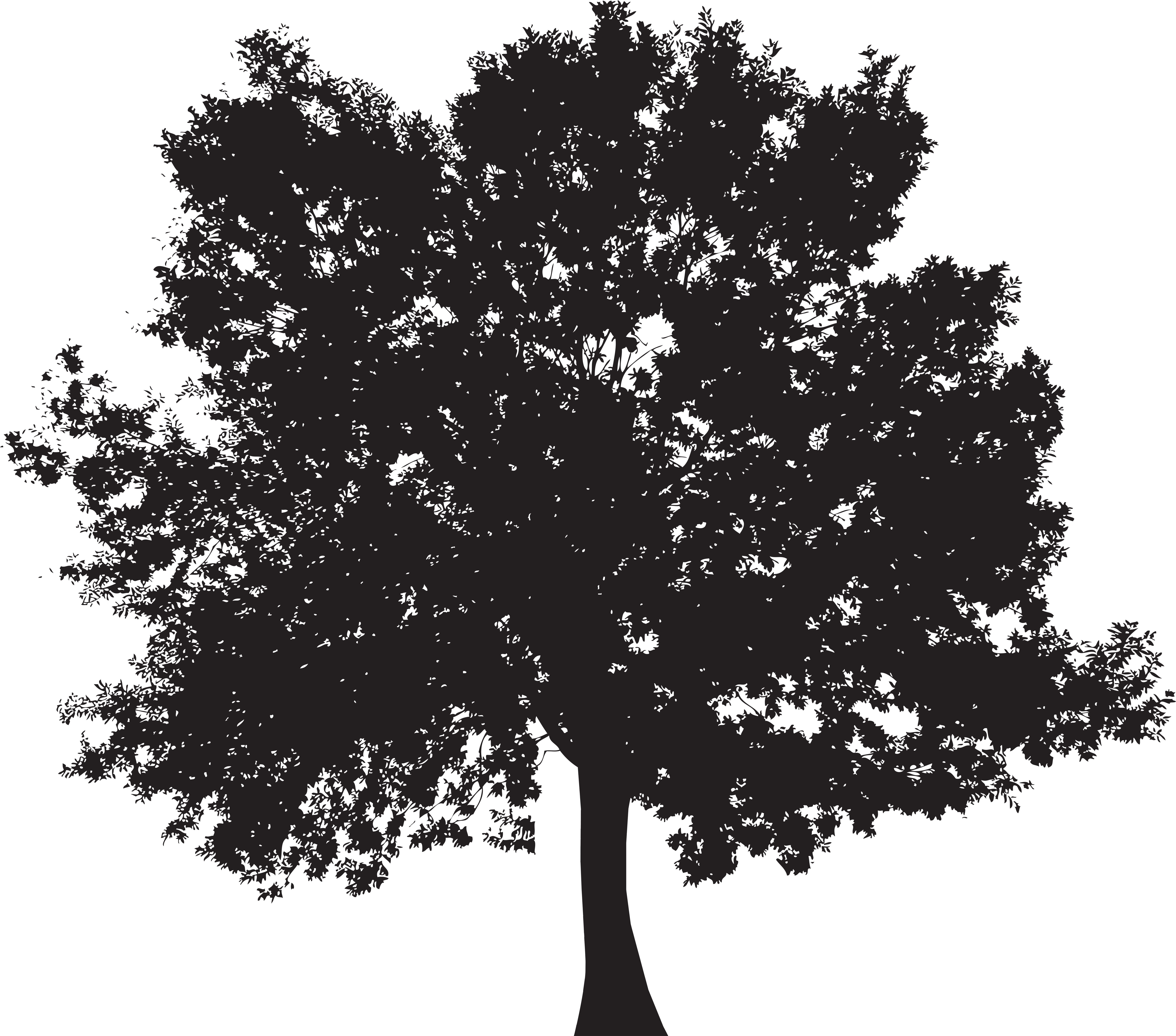 Tree Silhouette Png Clip Art (8000x6965), Png Download