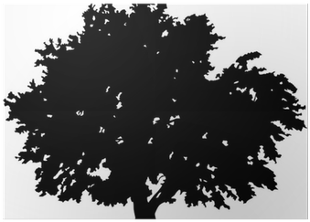 Large Black Oak Tree Silhouette On White Poster • Pixers® - Silhouette (400x400), Png Download