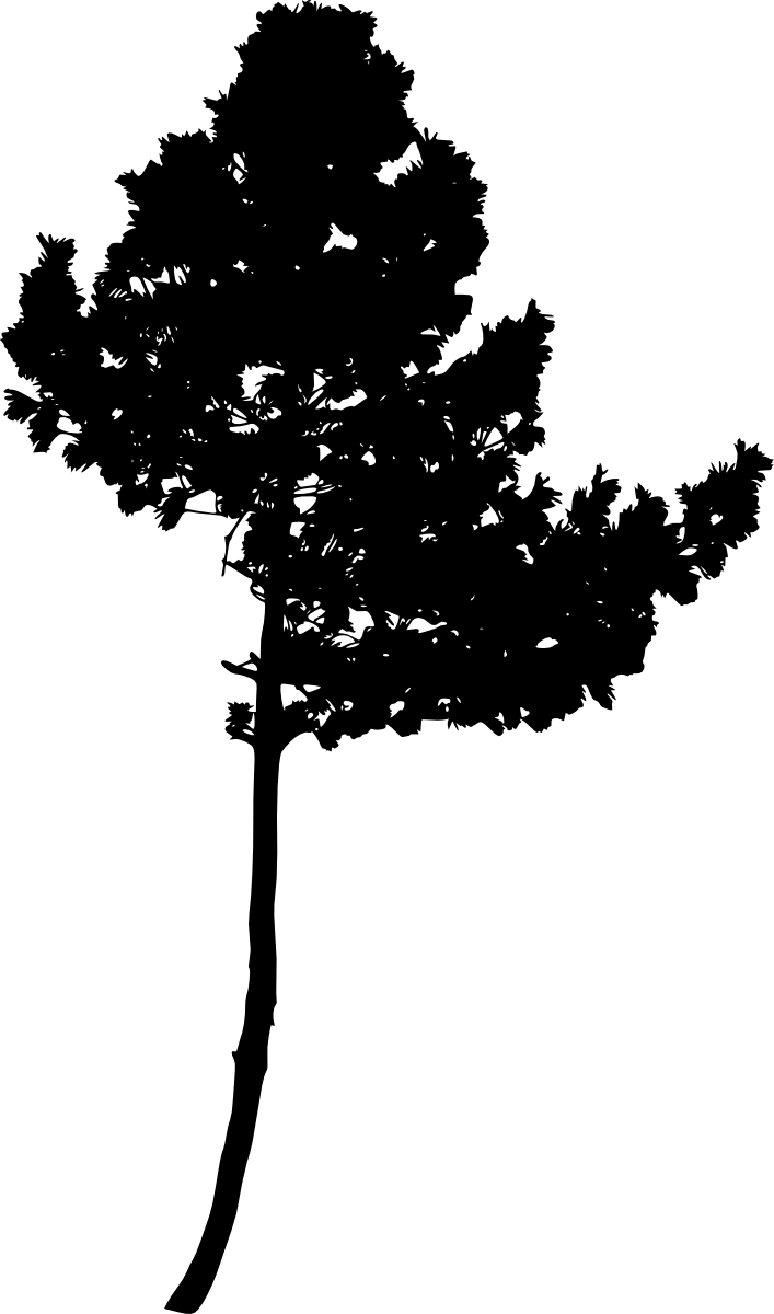 Free Download - Silhouette (707x1200), Png Download