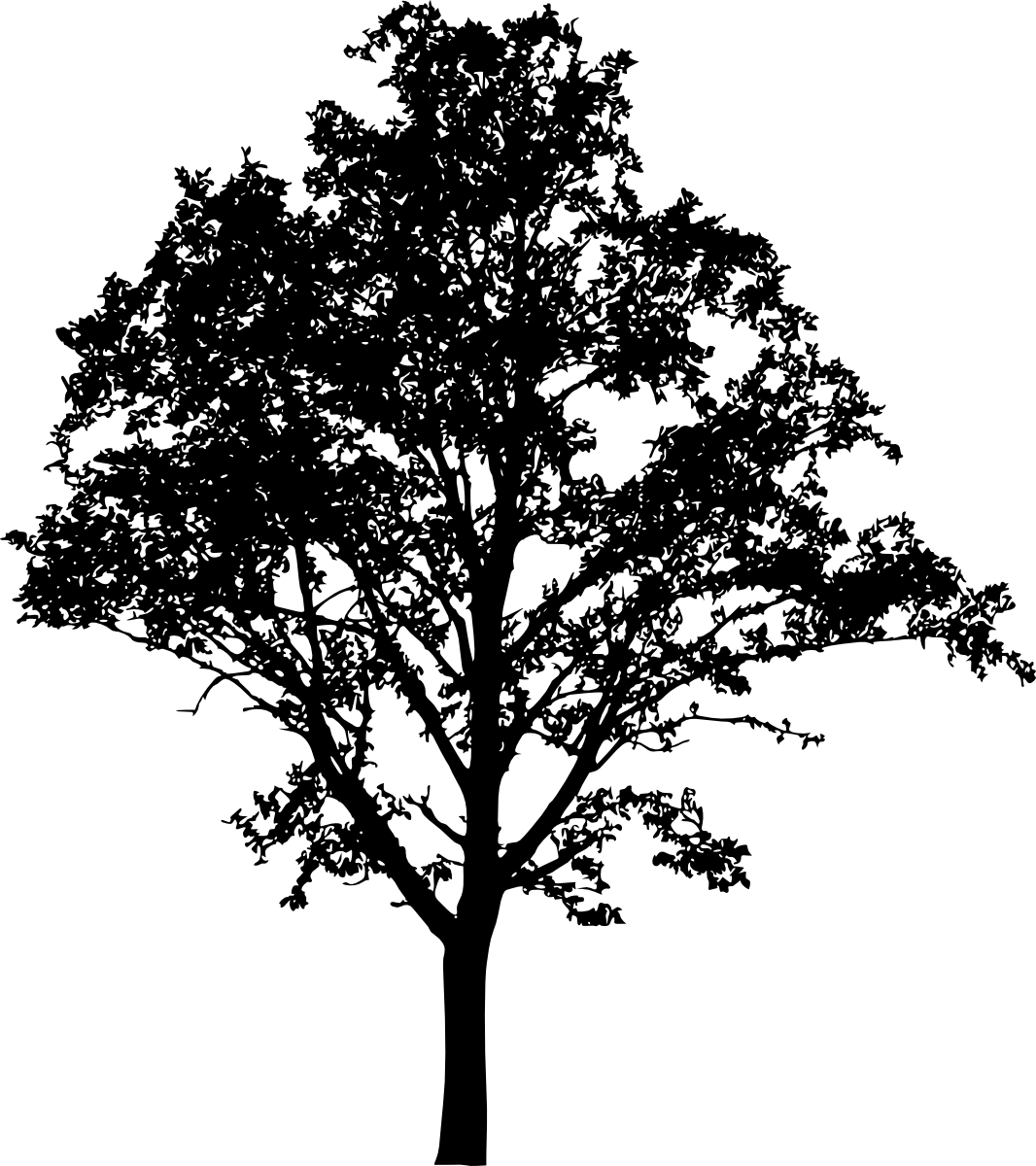 Free Download - Portable Network Graphics (1066x1200), Png Download