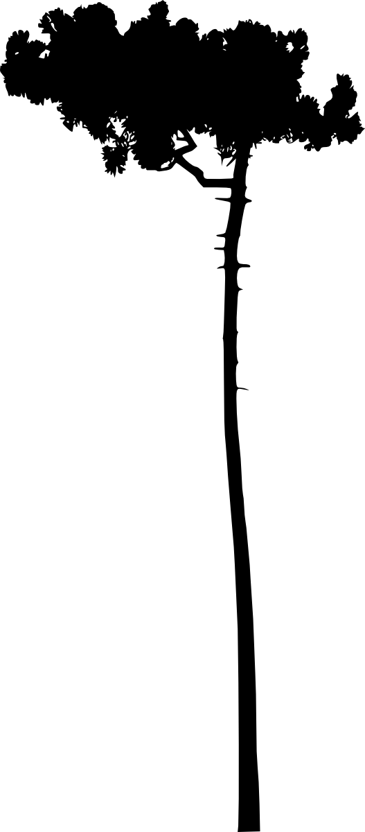 Free Download - Silhouette (527x1200), Png Download