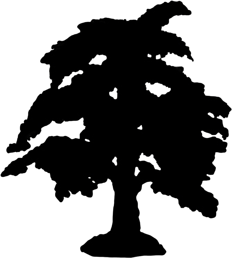 Tree Silhouettes Png, Tree Silhouettes Png - Dorothy Silhouette (872x886), Png Download