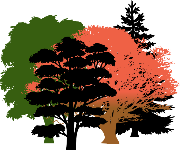 Get Free High Quality Hd Wallpapers Oak Tree Silhouette - Pine Tree Silhouette (600x500), Png Download