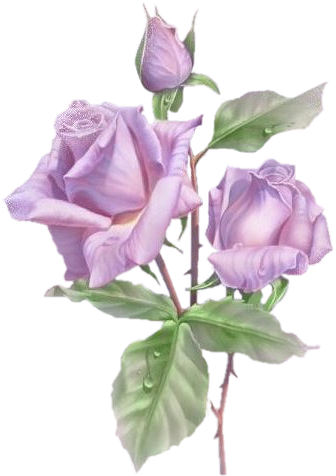 Mijn Psp Tubes Painting Flowers, Watercolor Flowers, - Congratulations For 10th Exam (348x500), Png Download