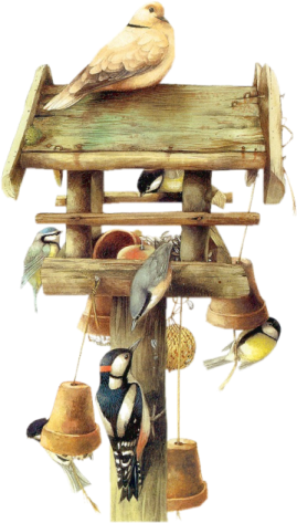 Dieren Painting Page 3, Birds, Psp, Animals, Blog, - More Cute Psp Tubes With Transparent Background (269x473), Png Download