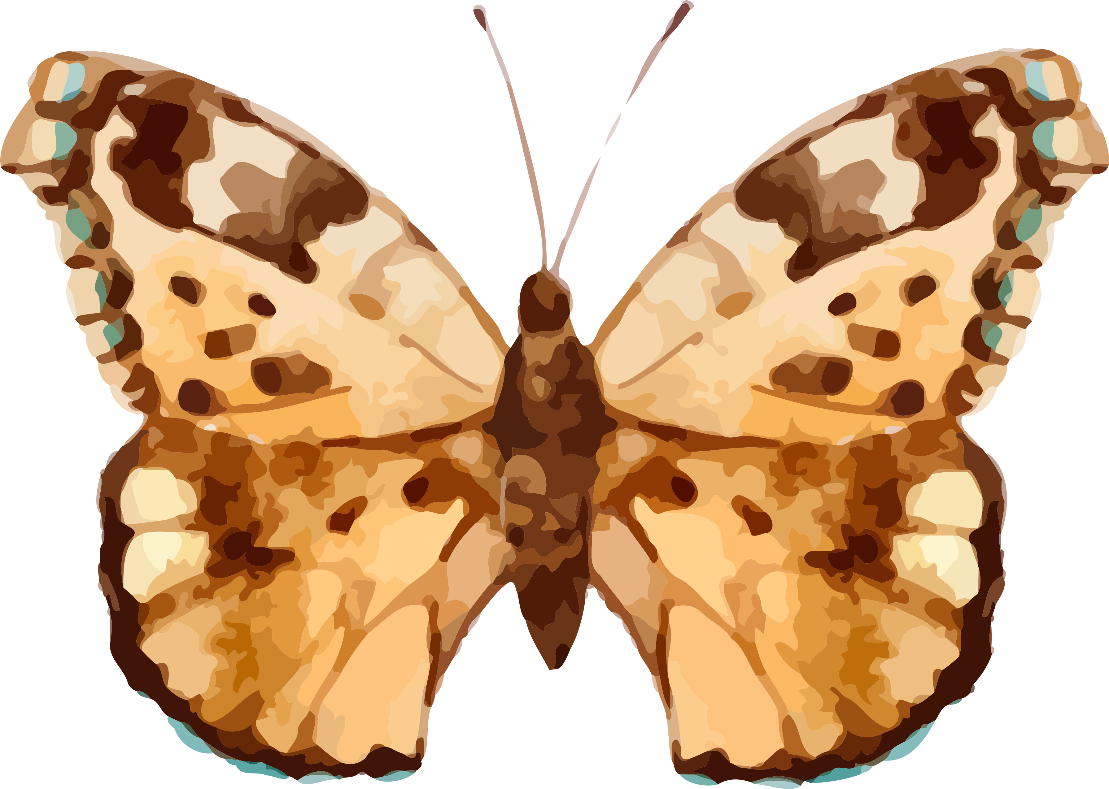 Real Butterfly Cliparts (3600x2736), Png Download