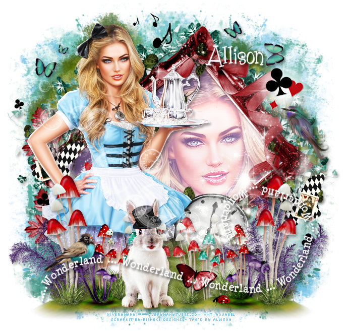 For My Tag I Used A Beautiful Tube By Verymany Called - Alice Wonderland Psp Tag (700x700), Png Download