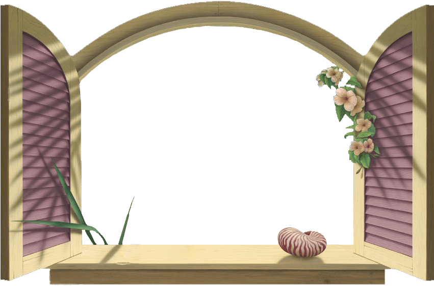 Psp Picture Frames Xgood Com - Frames Psp (850x586), Png Download