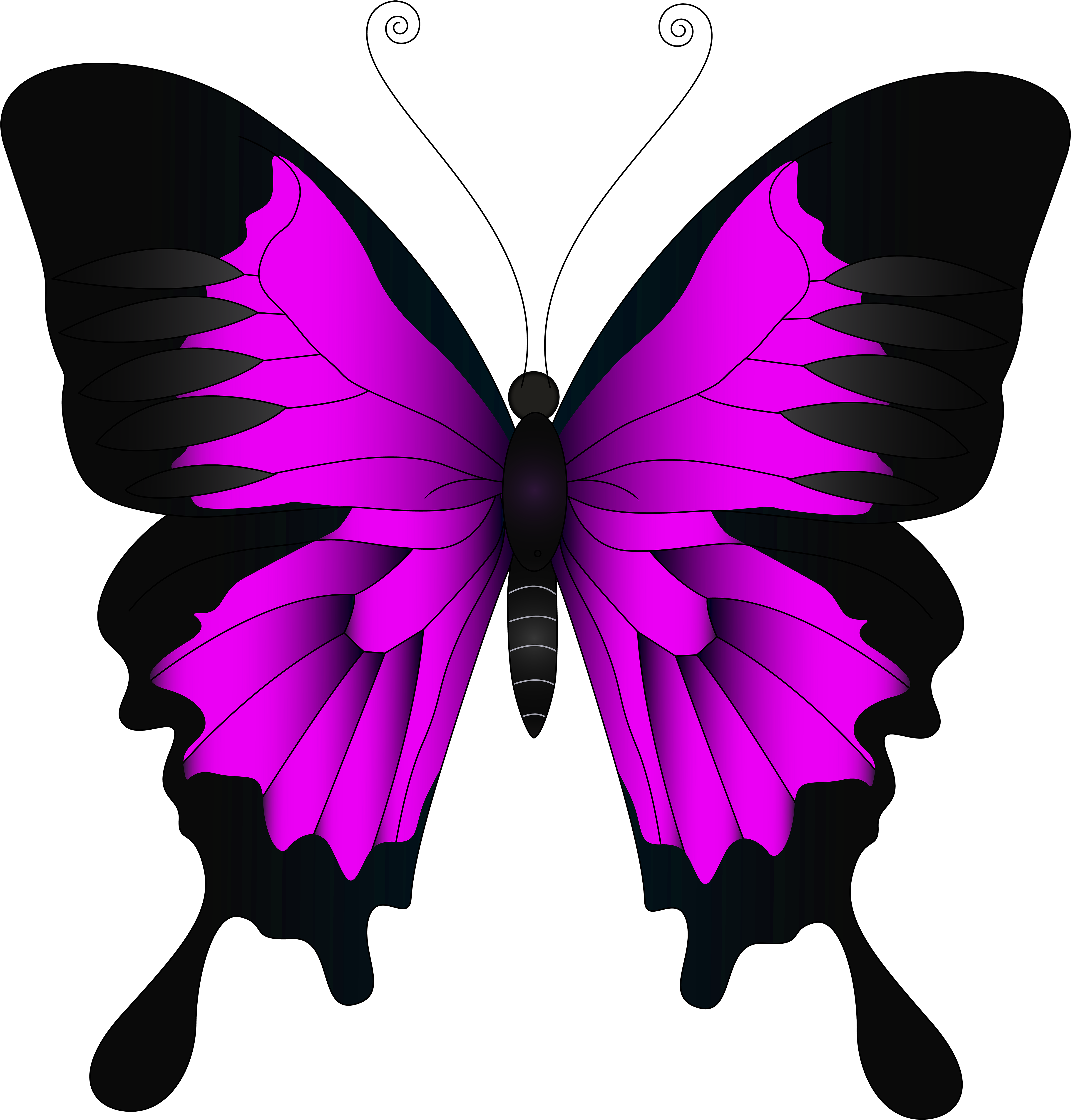 Numbers Clipart Butterfly - Papilio Ulysses (4783x5000), Png Download