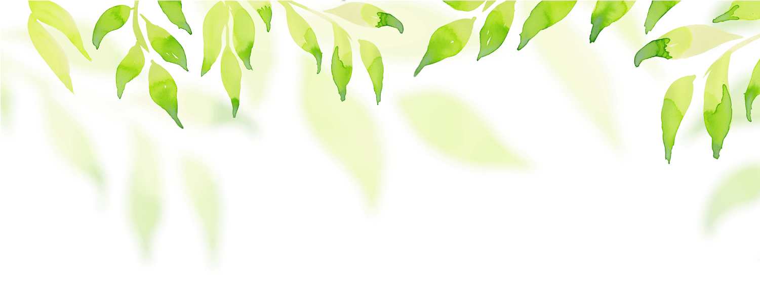 Download Header Leaf Green - Header Background Image Png Html PNG Image  with No Background 