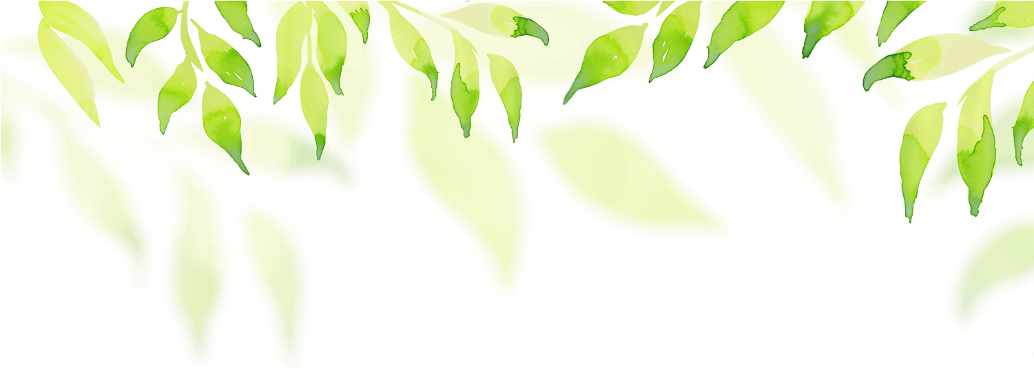 Header Leaf Green - Header Background Image Png Html (1500x580), Png Download