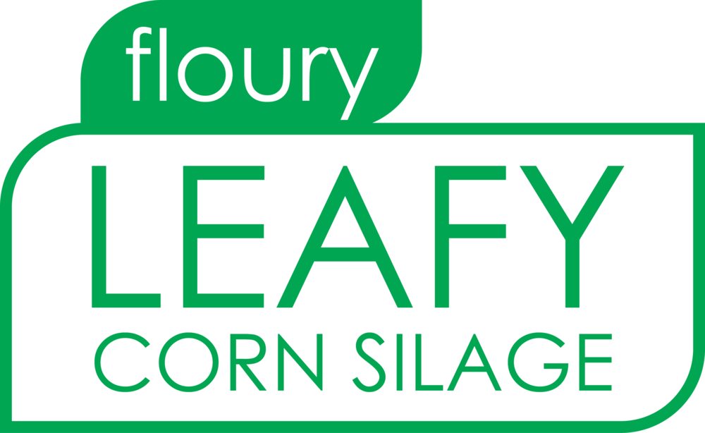Floury Leafy Corn Silage - Eat Good Food (1000x614), Png Download