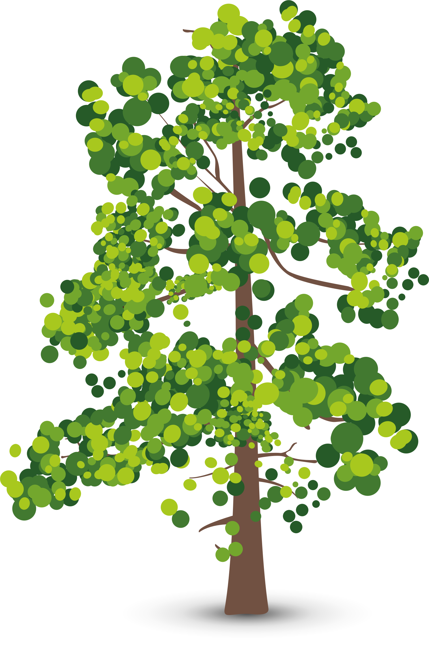 Albero Jpg Freeuse Stock - Oxygen Carbon Dioxide Cycle Blank (1486x2234), Png Download