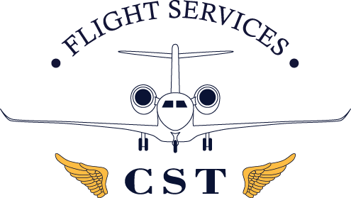 Caribbean Sky Tours Flight Services Logo - Midnight Oil Mtv Unplugged (495x279), Png Download