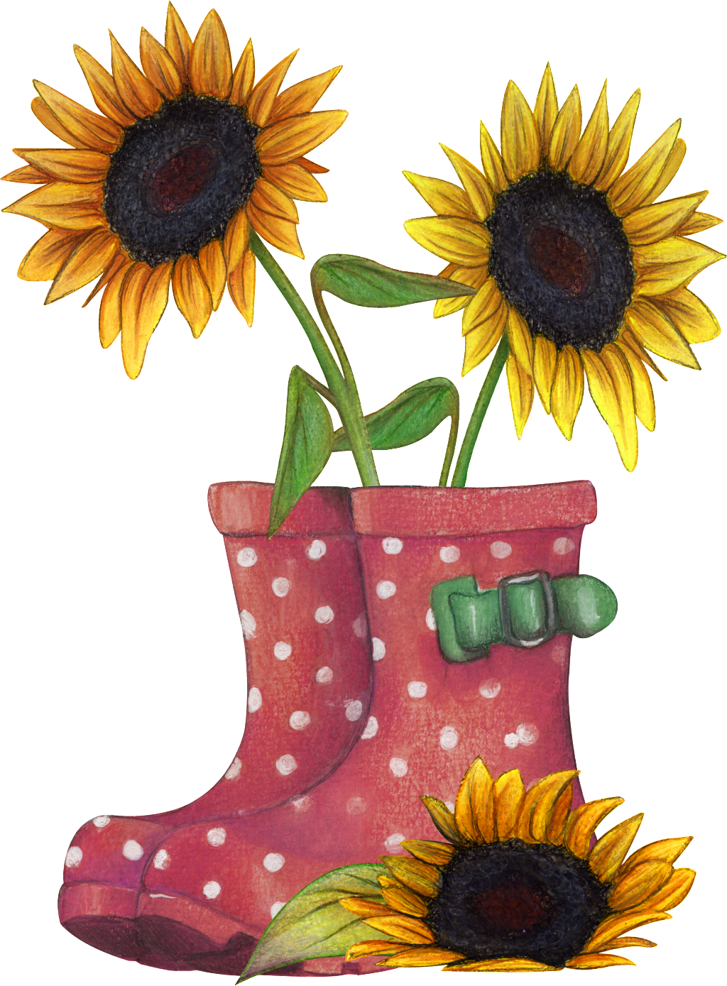 Sunflower Png Transparent Placed In Rain Boots - Boot (1024x1389), Png Download