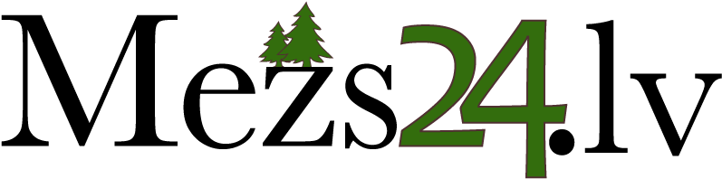 Mezs24 - Lv - Bratopia (960x560), Png Download