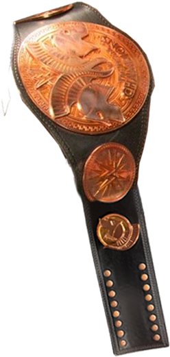 Champion Para Hombro By - Wwe Tag Team Championship Png (358x520), Png Download