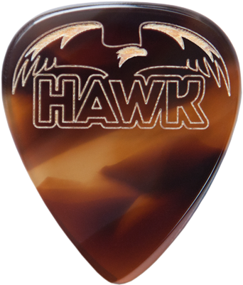 Hawk - Plectrum (400x400), Png Download