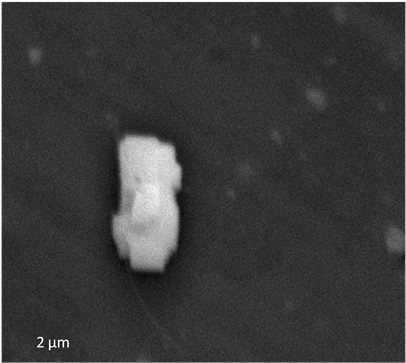 Gimmick Card Torn And Restored (400x400), Png Download