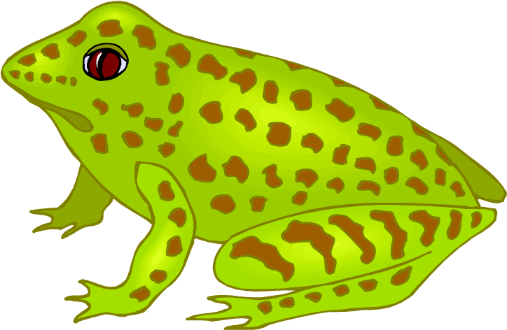 Free Frog Clipart - Spotted Frog Clipart (750x486), Png Download