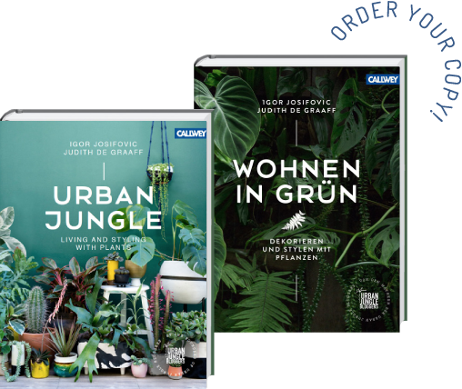 Happy Paris Tips - Urban Jungle: Living And Styling With Plants (508x428), Png Download