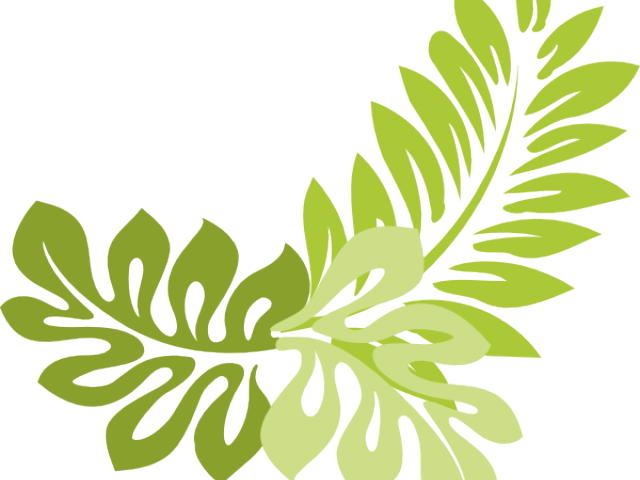 Jungle Plants Cliparts - Leaves Clipart Png (640x480), Png Download