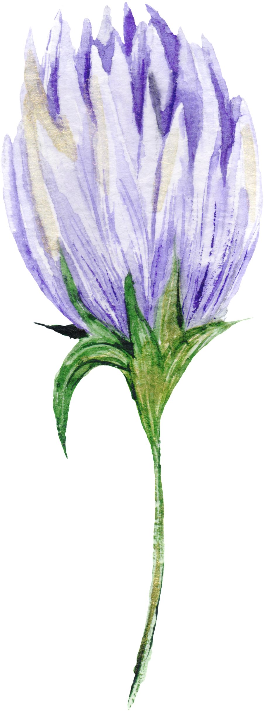 Candid Flower Branch Transparent Decorative - Purple (1024x2541), Png Download