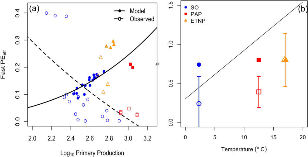 Particle Export And Transfer Efficiency To The Deep - Carbon Cycle (1024x576), Png Download
