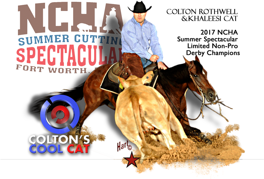 Colton's Cool Cat - Sorrel (1000x800), Png Download