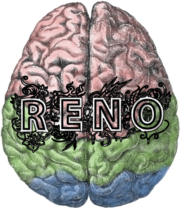 The Reno Brain Trust - Cortex Cerebral (666x759), Png Download