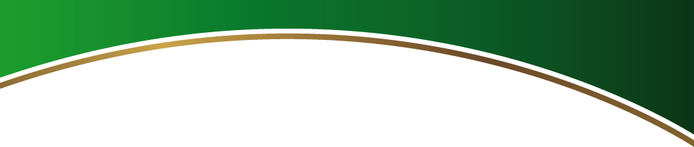 Spierings Special Plants - Green Curve Shape Png (989x210), Png Download